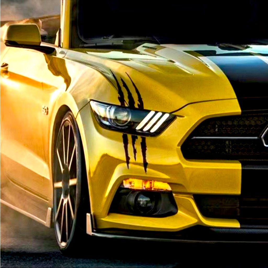 Car Accessories